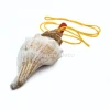 Schelp fluit met koord