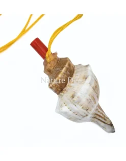 Schelp fluit met koord