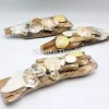 Schelpen op hout