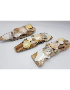 Schelpen op hout