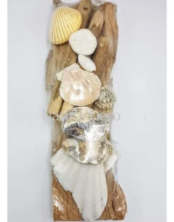 Schelpen op hout