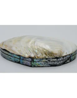 Schelpendoos XXL