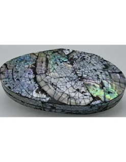 Schelpendoos XXL