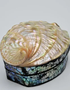 Schelpendoosje Abalone