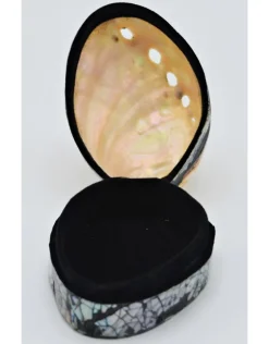 Schelpendoosje Abalone