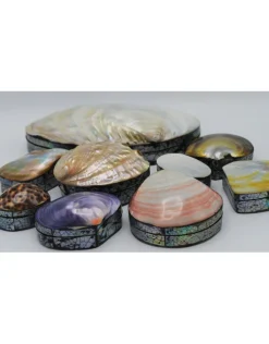 Schelpendoosje Abalone