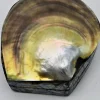 Schelpendoosje bruin/goud