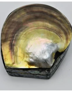 Schelpendoosje bruin/goud