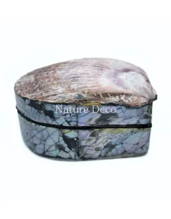 Schelpendoosje bruin/paars