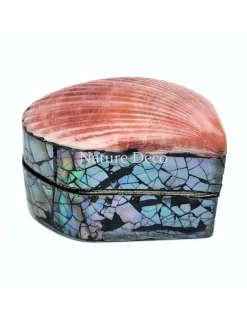 Schelpendoosje donkerroze