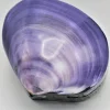 Schelpendoosje paars