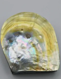 Schelpendoosje parelmoer/geel