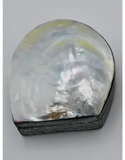 Schelpendoosje parelmoer/geel