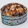 Schelpendoosje tijger