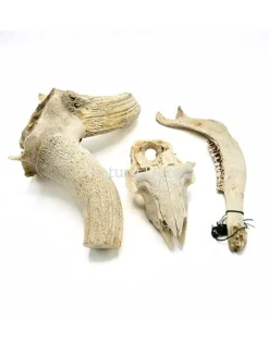 Set diverse dierenbotten #10