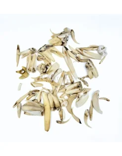 Set diverse dierentanden #6, 90 gram