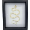 Slangenskelet in luxe 3D lijst (wit) 27 x 22 x 4,5 cm