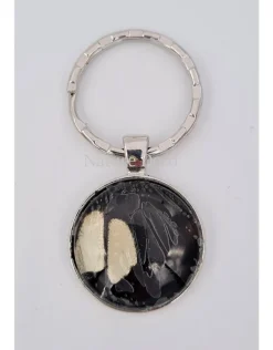 Sleutelhanger Helenus