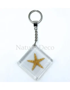 Sleutelhanger zeester 14 x 6,5 x 1 cm
