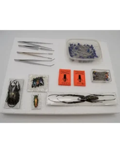 Startset insecten prepareren