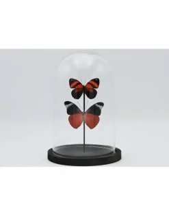 Stolp met 2 rode vlinders 21 x 14cm