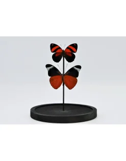 Stolp met 2 rode vlinders 21 x 14cm