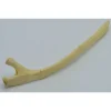 Struisvogel Rib nr 2