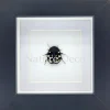 Therea Olegrandjeani (vraagteken kakkerlak) in luxe 3D lijst 12 x 12 x 3,3 cm