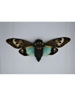 Toseana Splendida in luxe 3D lijst 17 x 17cm
