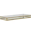 Vitrine box goud 40x18x3 cm