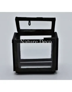 Vitrine box zwart XS