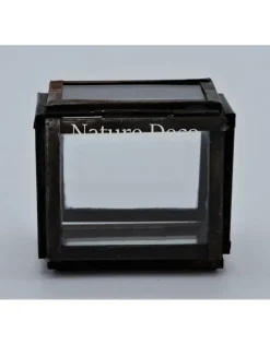 Vitrine box zwart XS