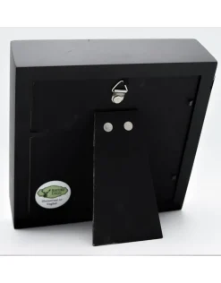 Vleermuis hangend in 3D lijst 14 x 14cm