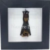 Vleermuis hangend in luxe 3D lijst 12 x 12 x 3,3 cm