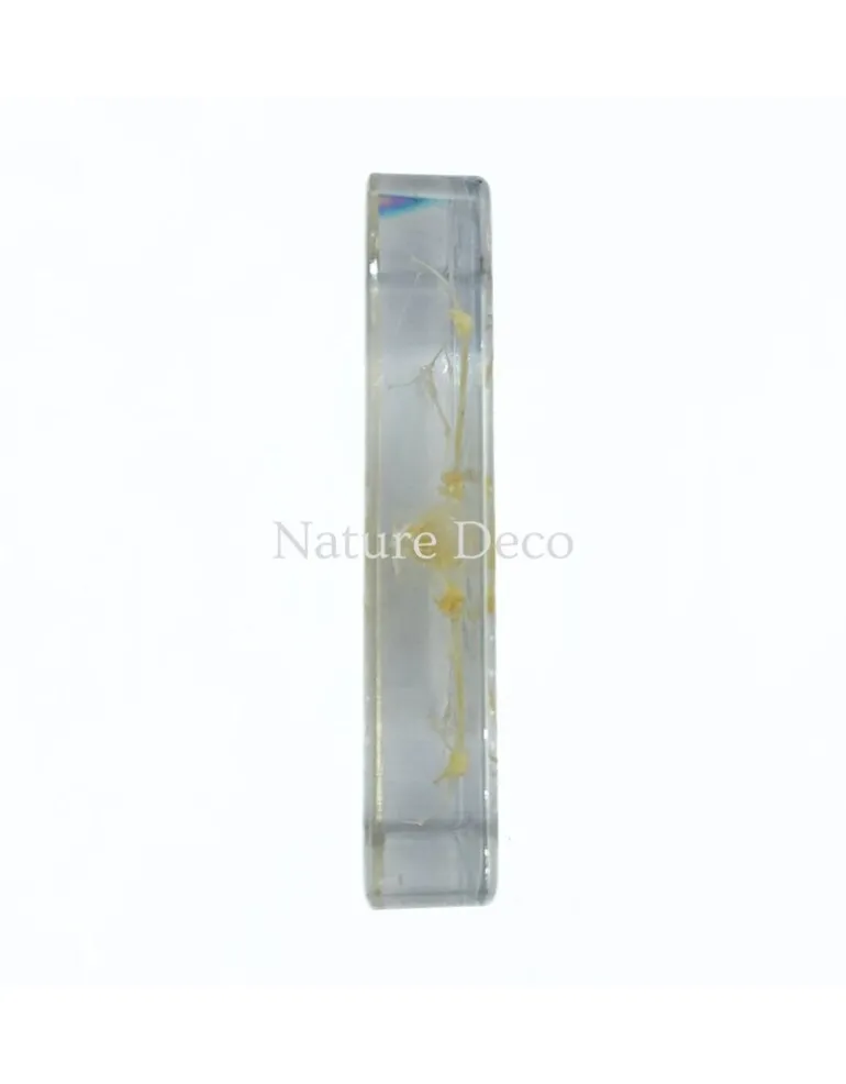 Vleermuisskelet in hars 9 x 13,5 x 2,5 cm