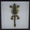 Vliegende Gekko (Ptychozoon Kuhli) in luxe 3D lijst 22 x 22cm
