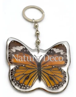 Vlinder sleutelhanger #1 (Danaus plexippus)