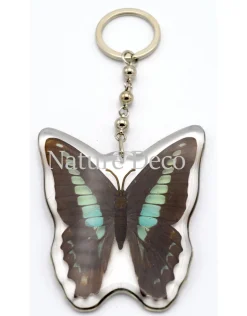 Vlinder sleutelhanger #2 (Graphium Sarpedon)