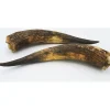 Watusi hoorn set
